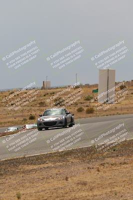 media/May-03-2025-Lucky Dog Racing (Sat) [[206de64b9d]]/Turn 6 (150pm-230pm)/